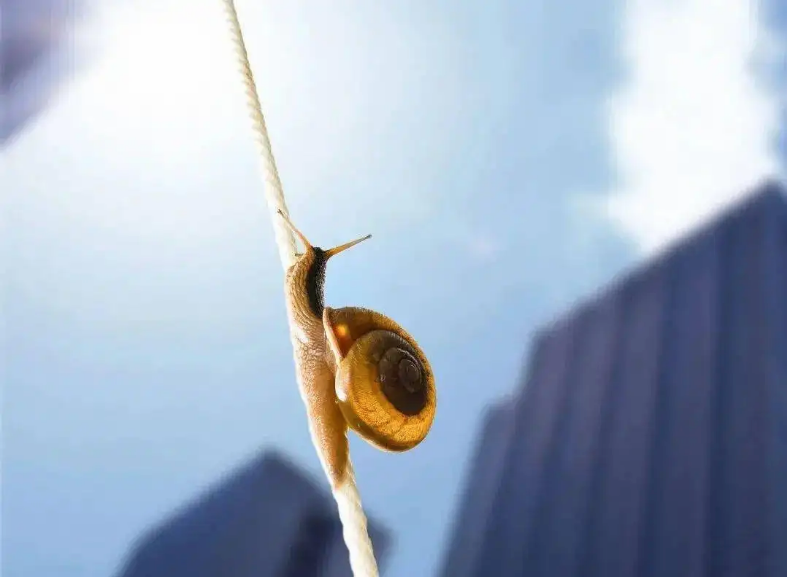 微信圖片_20220719094010.png 微信圖片_20220719094010.png